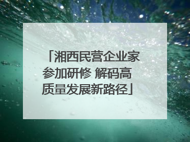 湘西民营企业家参加研修 解码高质量发展新路径