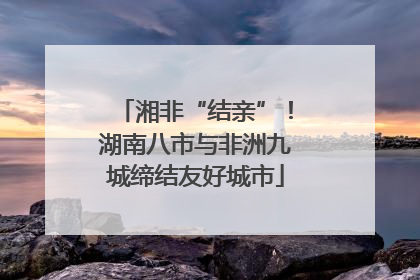 湘非“结亲”！湖南八市与非洲九城缔结友好城市