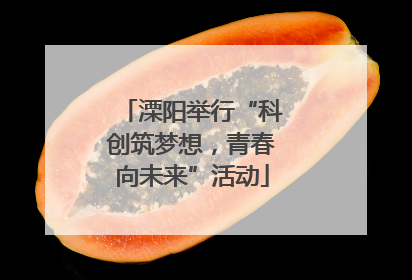 溧阳举行“科创筑梦想，青春向未来”活动