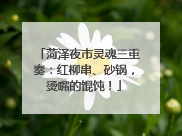 菏泽夜市灵魂三重奏：红柳串、砂锅，烫嘴的馄饨！