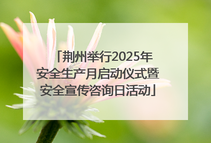 荆州举行2025年安全生产月启动仪式暨安全宣传咨询日活动