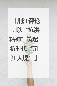 荆江评论：以“抗洪精神”筑起新时代“荆江大堤”