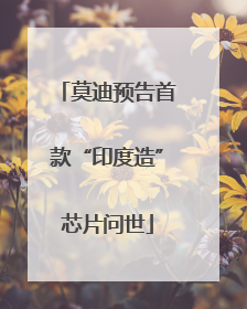 莫迪预告首款“印度造”芯片问世