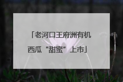 老河口王府洲有机西瓜“甜蜜”上市