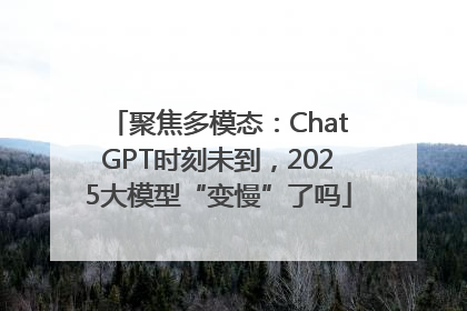 聚焦多模态：ChatGPT时刻未到，2025大模型“变慢”了吗