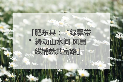 肥东县：“绿飘带”舞动山水间 风景线铺就共富路