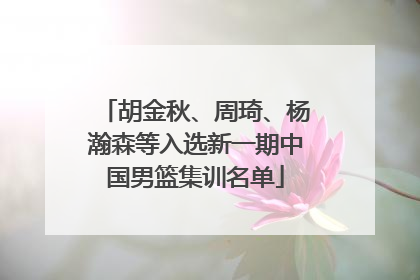 胡金秋、周琦、杨瀚森等入选新一期中国男篮集训名单