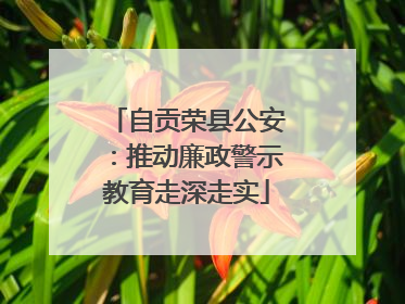 自贡荣县公安：推动廉政警示教育走深走实