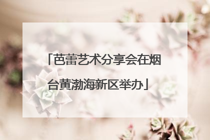 芭蕾艺术分享会在烟台黄渤海新区举办