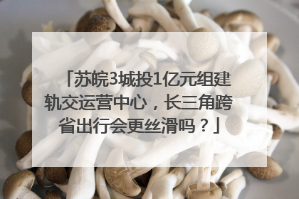 苏皖3城投1亿元组建轨交运营中心，长三角跨省出行会更丝滑吗？