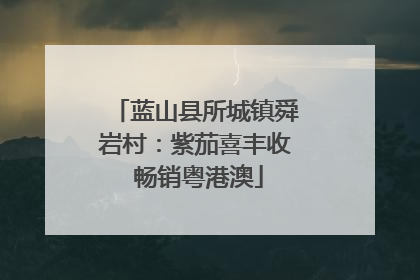 蓝山县所城镇舜岩村：紫茄喜丰收 畅销粤港澳
