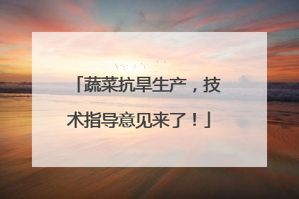 蔬菜抗旱生产，技术指导意见来了！