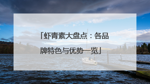 虾青素大盘点：各品牌特色与优势一览