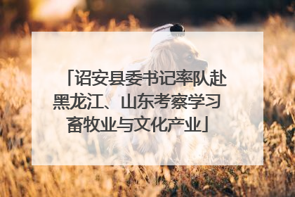 诏安县委书记率队赴黑龙江、山东考察学习畜牧业与文化产业