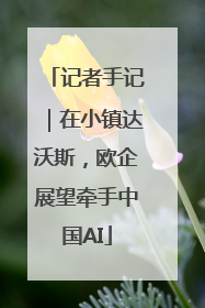 记者手记｜在小镇达沃斯，欧企展望牵手中国AI