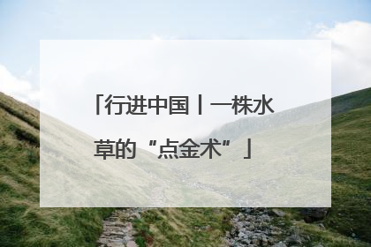 行进中国丨一株水草的“点金术”