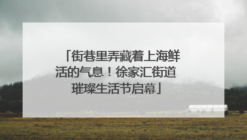街巷里弄藏着上海鲜活的气息！徐家汇街道璀璨生活节启幕