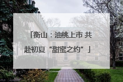 衡山：油桃上市 共赴初夏“甜蜜之约”