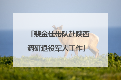 裴金佳带队赴陕西调研退役军人工作