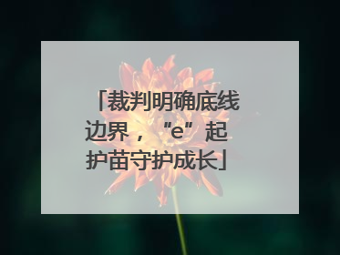 裁判明确底线边界，“e”起护苗守护成长