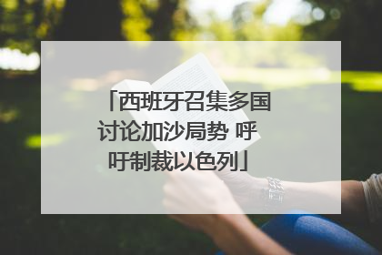 西班牙召集多国讨论加沙局势 呼吁制裁以色列