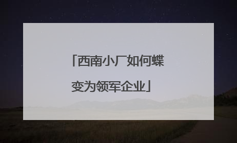 西南小厂如何蝶变为领军企业