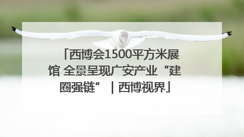 西博会1500平方米展馆 全景呈现广安产业“建圈强链”｜西博视界