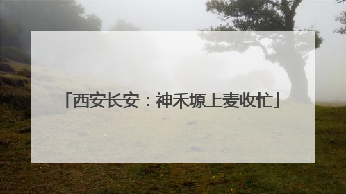 西安长安：神禾塬上麦收忙