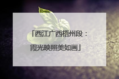 西江广西梧州段：霞光映照美如画