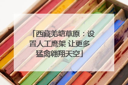 西藏羌塘草原：设置人工鹰架 让更多猛禽翱翔天空