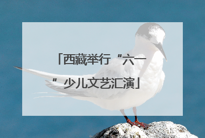 西藏举行“六一”少儿文艺汇演