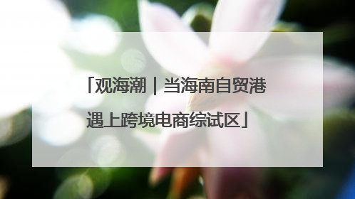 观海潮｜当海南自贸港遇上跨境电商综试区