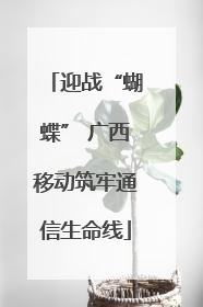 迎战“蝴蝶” 广西移动筑牢通信生命线