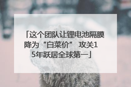 这个团队让锂电池隔膜降为“白菜价” 攻关15年跃居全球第一