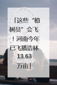 这些“植树员”会飞！河南今年已飞播造林13.63万亩