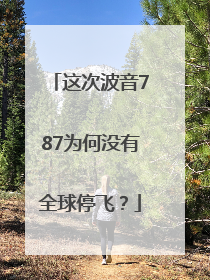 这次波音787为何没有全球停飞？