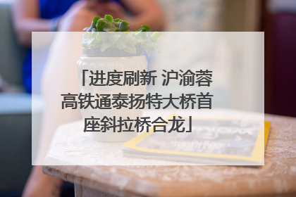 进度刷新 沪渝蓉高铁通泰扬特大桥首座斜拉桥合龙