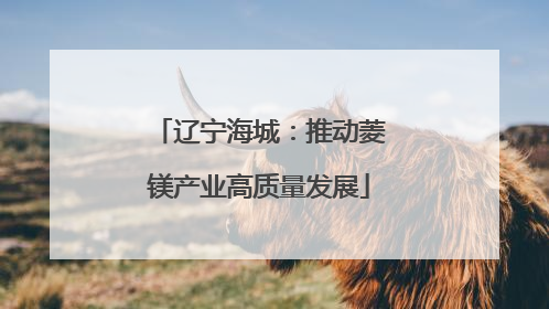 辽宁海城：推动菱镁产业高质量发展