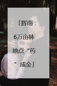 辉南：6万亩林地点“药”成金