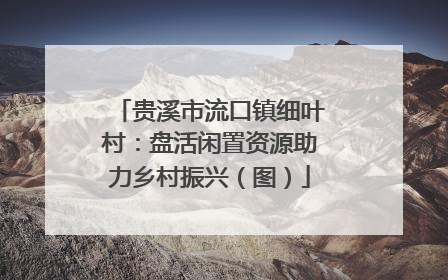 贵溪市流口镇细叶村：盘活闲置资源助力乡村振兴（图）