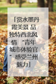 赏水墨丹霞美景 品独特西北风情 “青年城市体验官”感受兰州魅力
