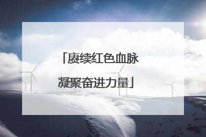 赓续红色血脉 凝聚奋进力量
