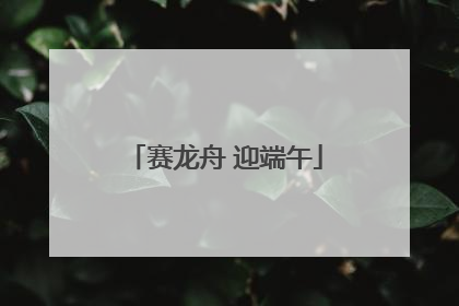 赛龙舟 迎端午