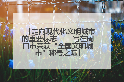 走向现代化文明城市的重要标志——写在周口市荣获“全国文明城市”称号之际