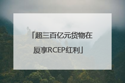 超三百亿元货物在厦享RCEP红利