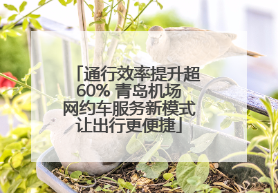 通行效率提升超60% 青岛机场网约车服务新模式让出行更便捷