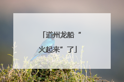 道州龙船“火起来”了