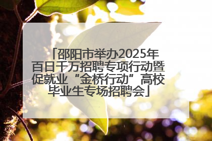 邵阳市举办2025年百日千万招聘专项行动暨促就业“金桥行动”高校毕业生专场招聘会