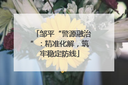 邹平“警源融治”：精准化解，筑牢稳定防线