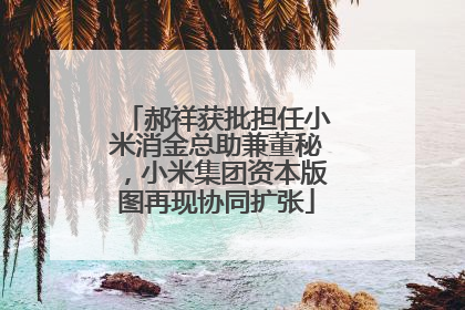 郝祥获批担任小米消金总助兼董秘，小米集团资本版图再现协同扩张